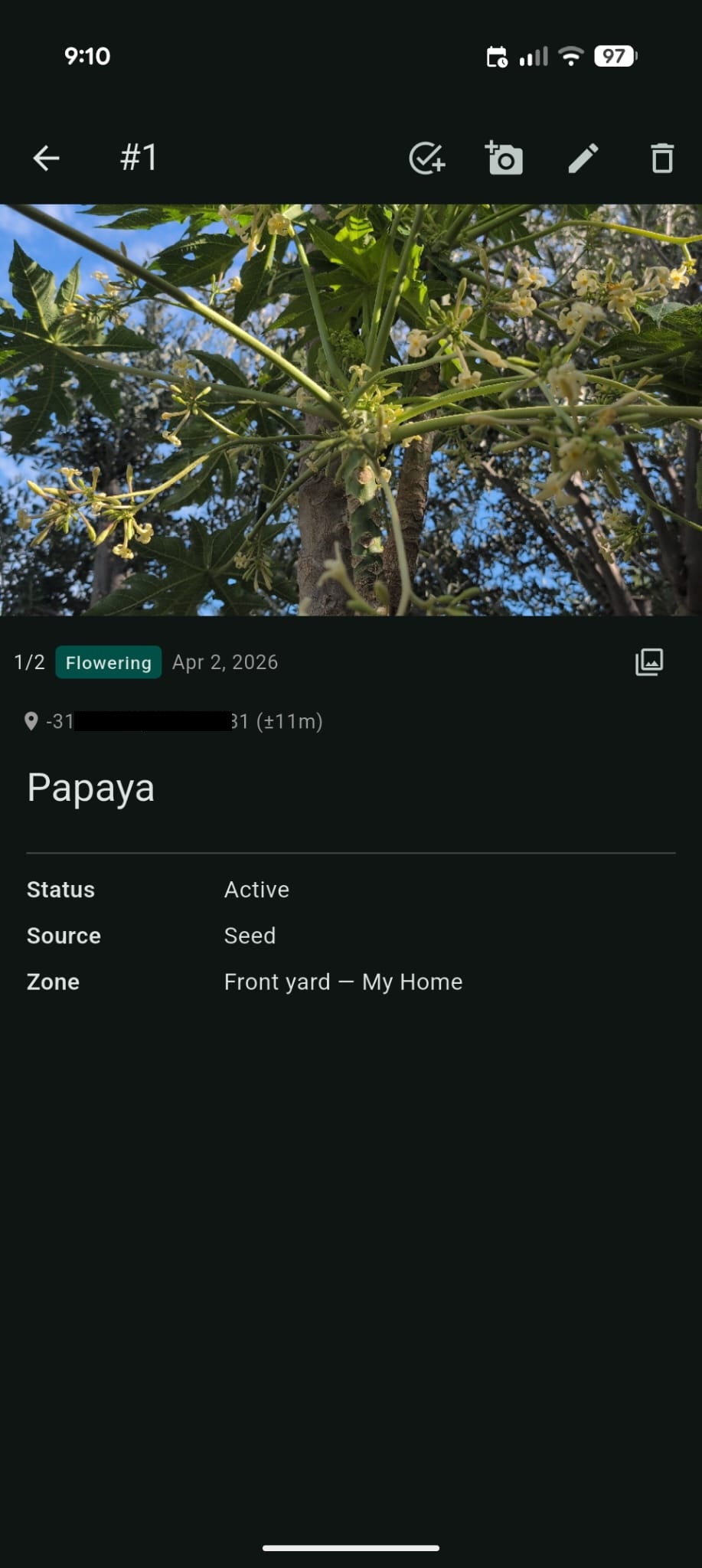 Plant detail view for a Papaya