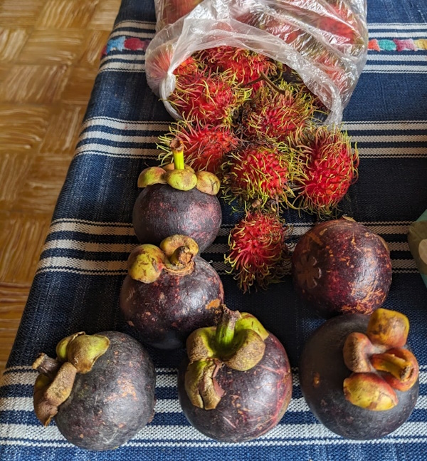 Rambutan and Mangostein fruit